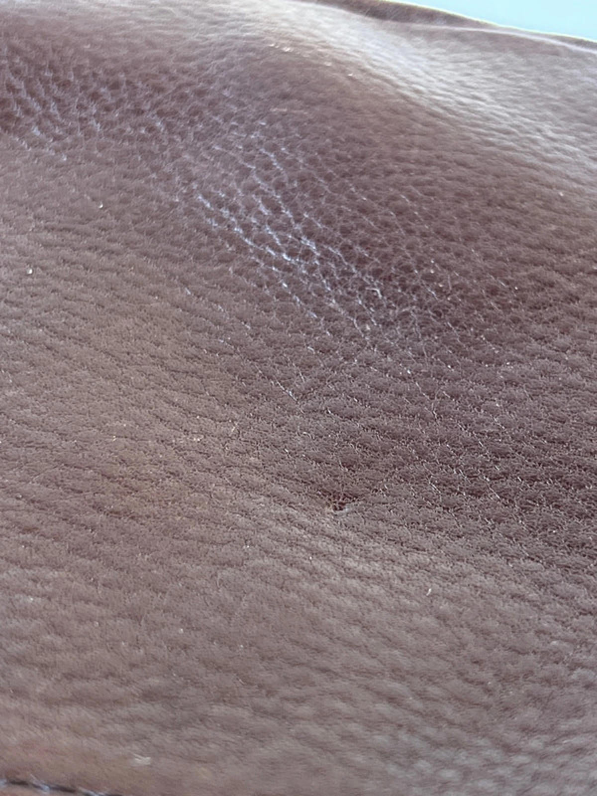 Vintage The Sak | Maroon Leather Shoulderbag