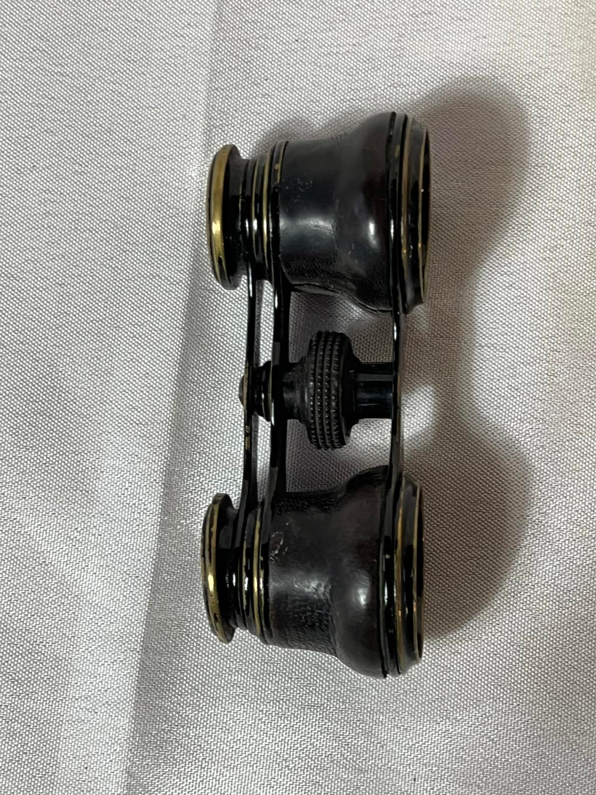 Vintage Opera Glasses | Small Case