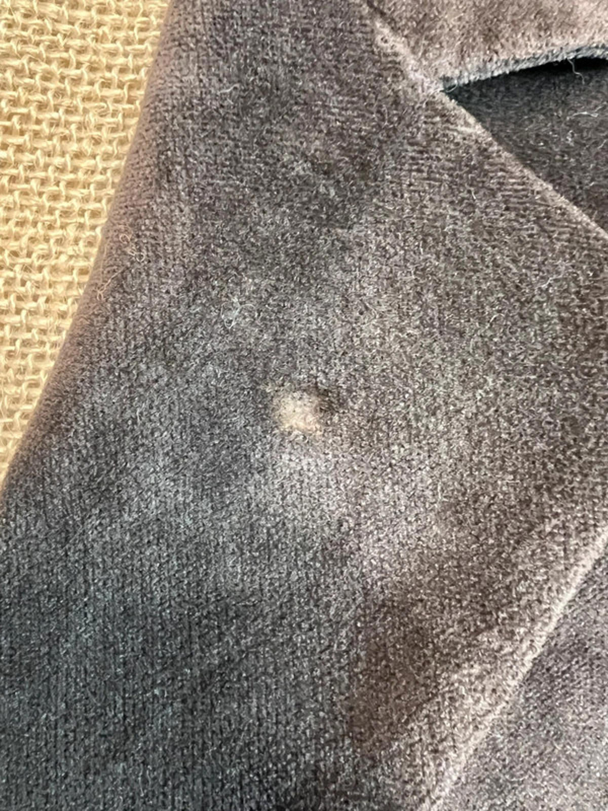 Carolle | Size 42 (12-14) | Chocolate Brown Suede Style Jacket |