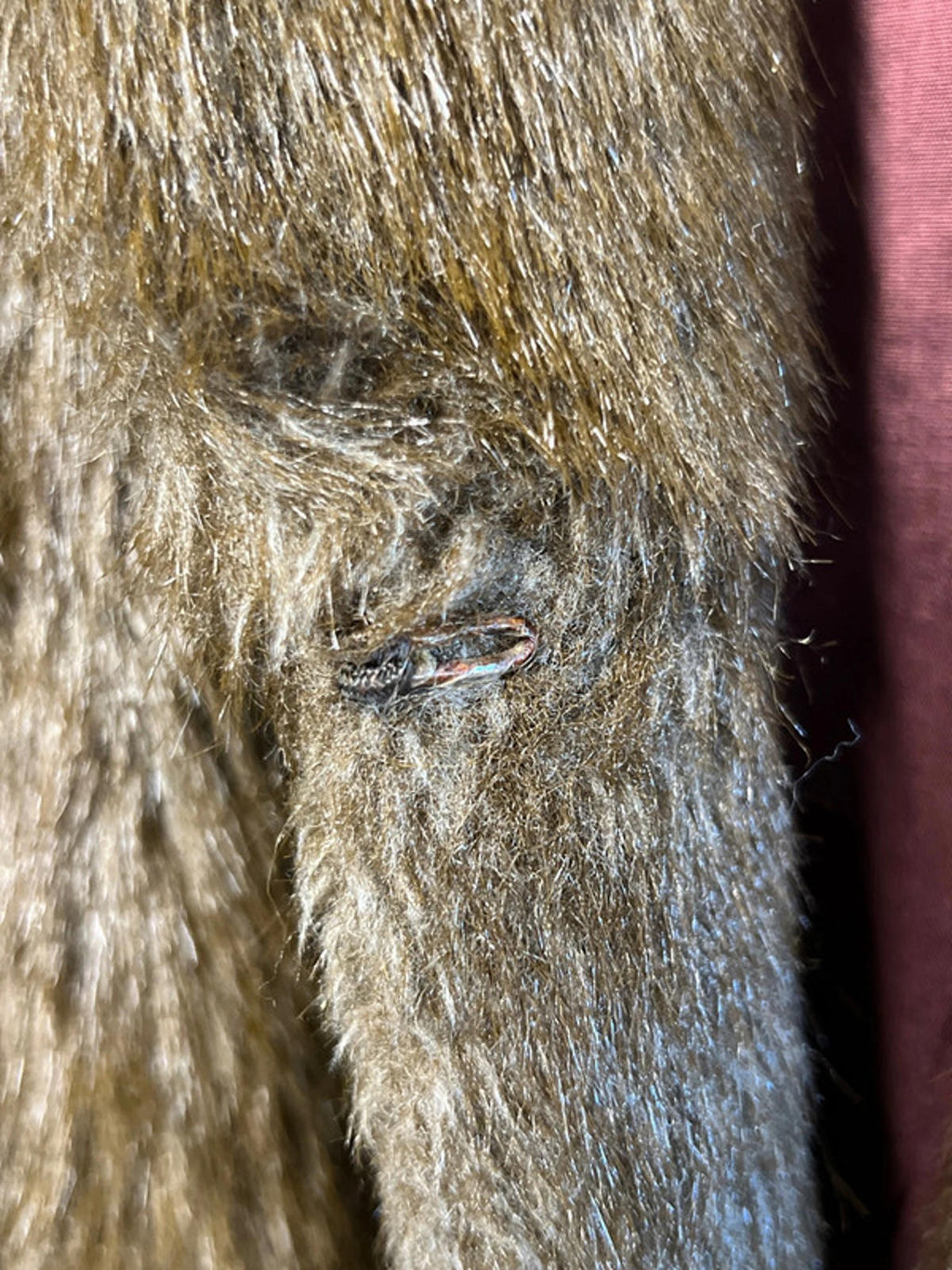 Faux Fur Coat | Size 16 | Modacrylic Blend | Plush &amp; Warm