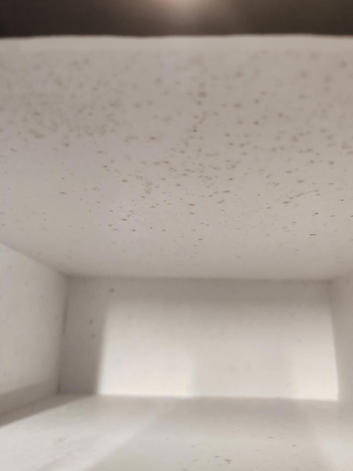 Lola Ramona Black and White Bow High Heel Shoes