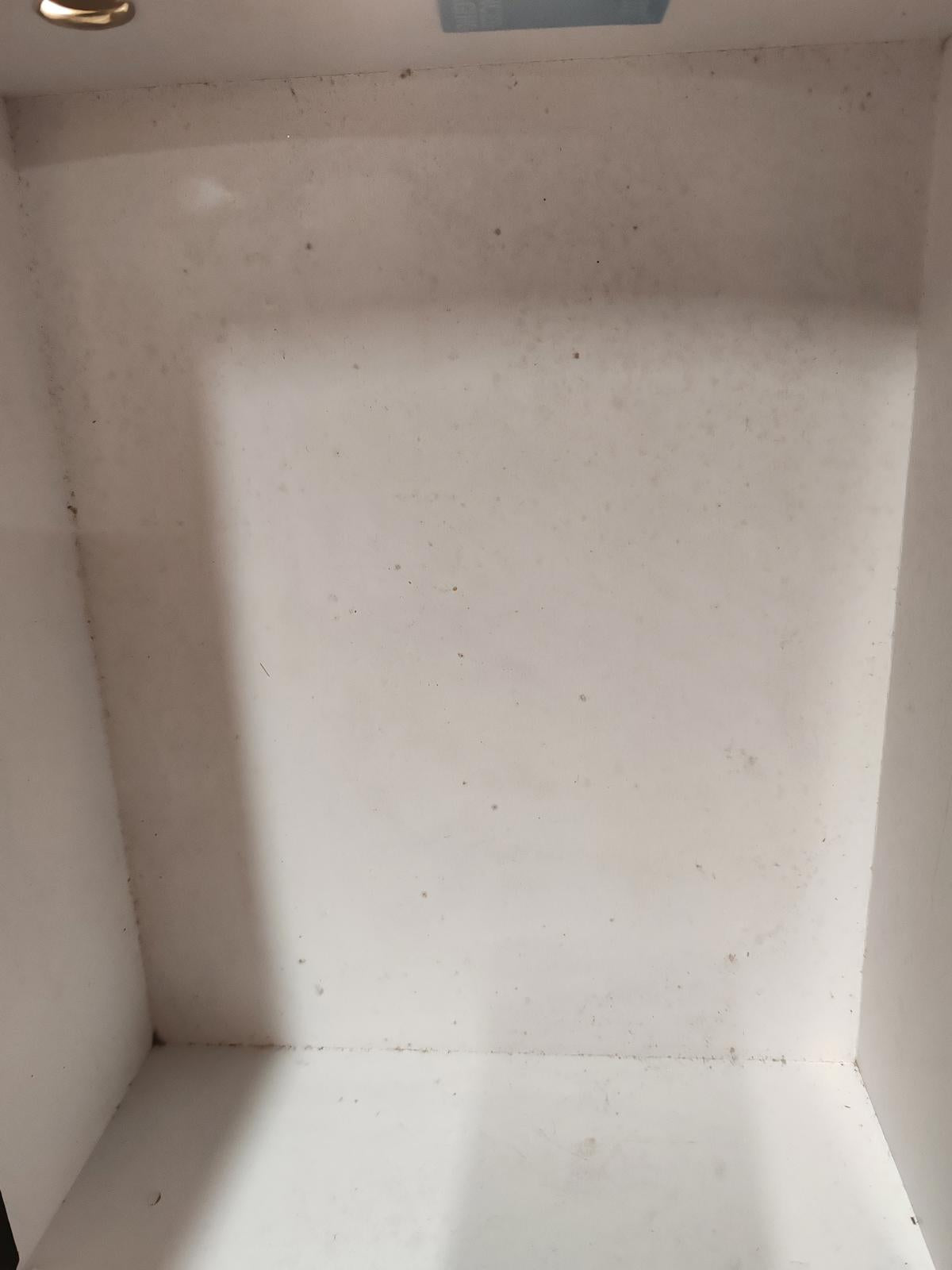 Lola Ramona Black and White Bow High Heel Shoes