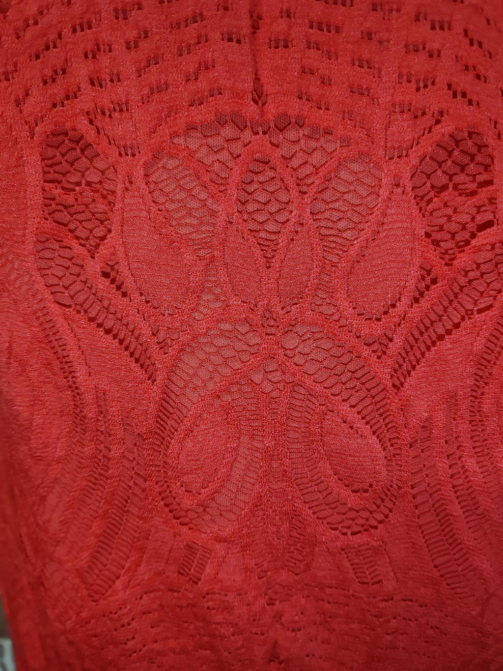Principles | UK 12 | Coral Lace Dress | Polyester