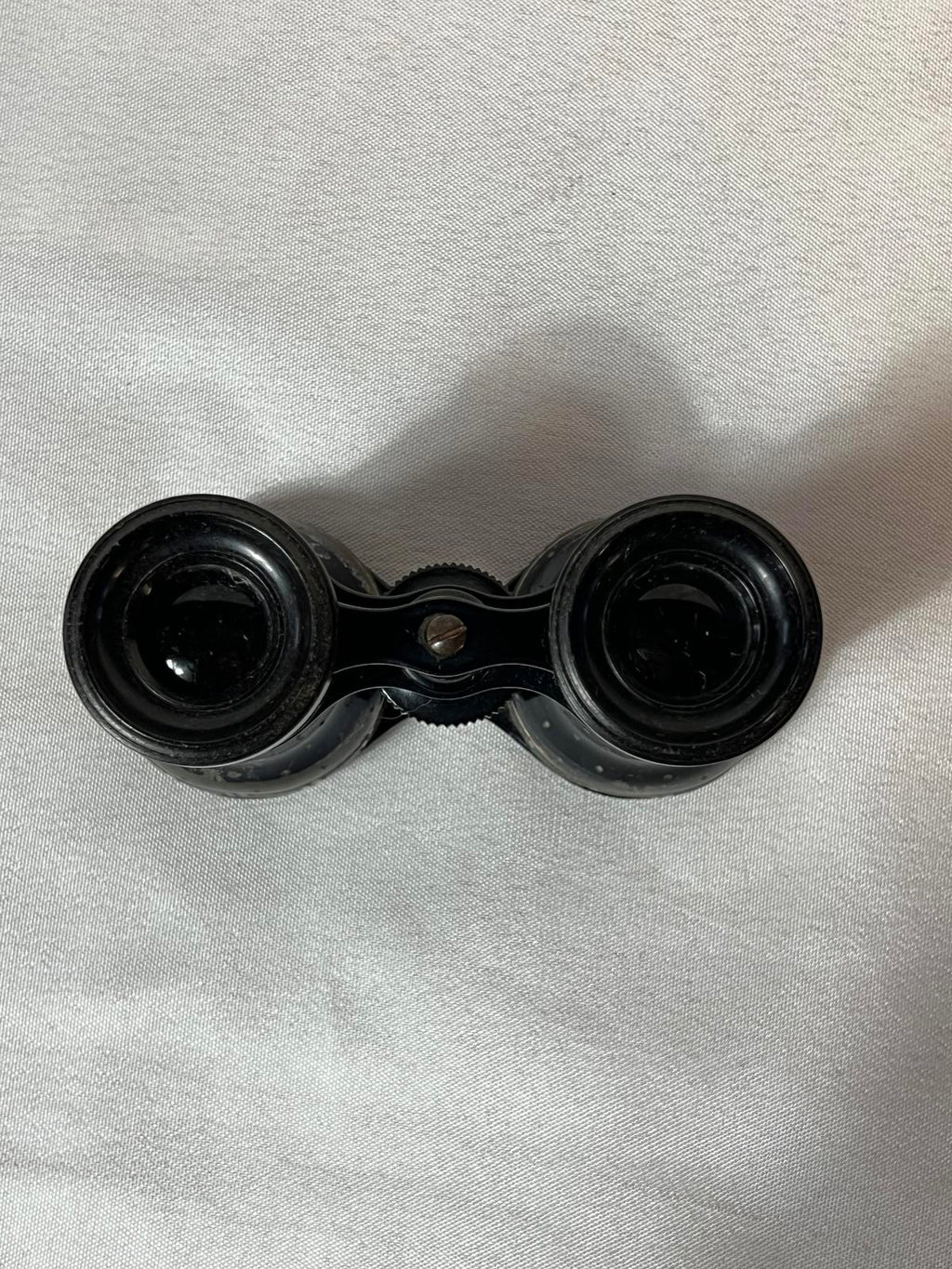 Vintage Opera Glasses | Small Case