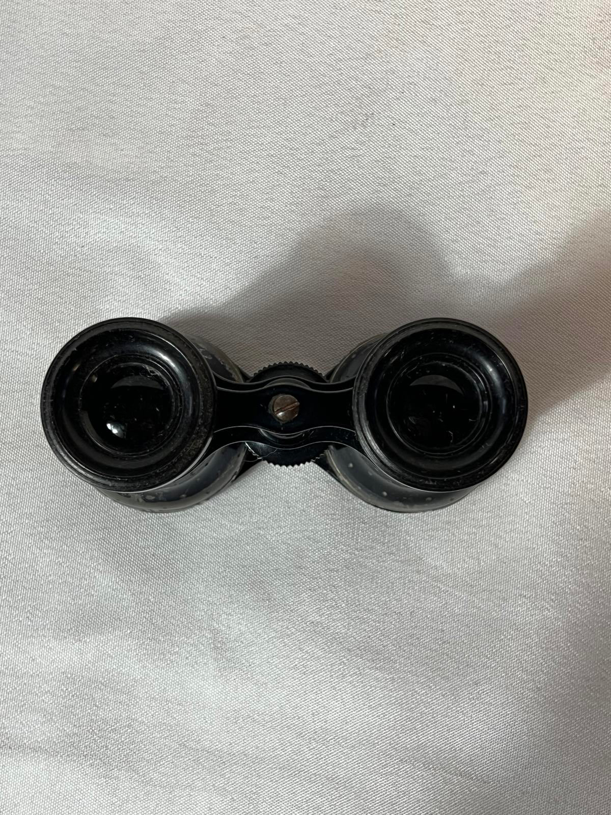 Vintage Opera Glasses | Small Case