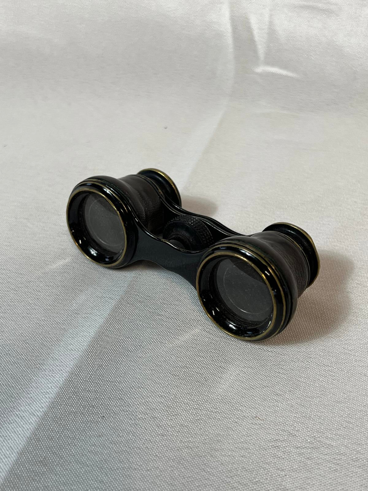 Vintage Opera Glasses | Small Case