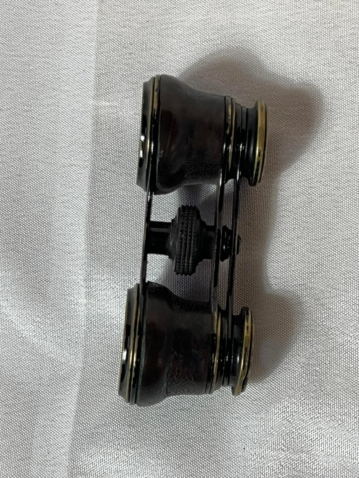 Vintage Opera Glasses | Small Case