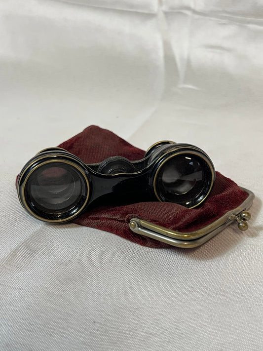 Vintage Opera Glasses | Small Case