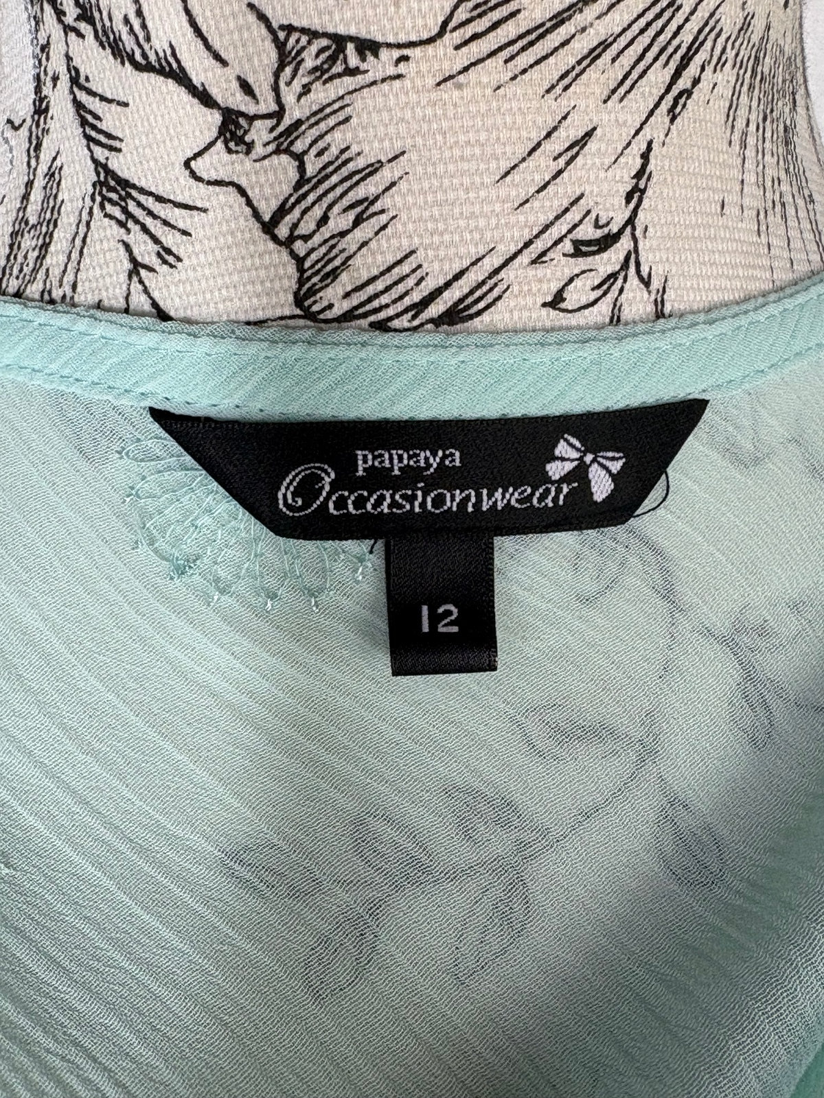 Papaya Cap sleeved sheer blouse