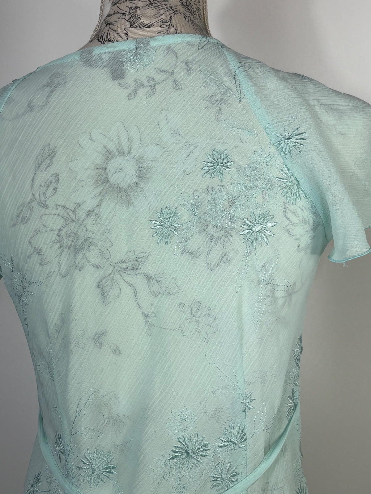 Papaya Cap sleeved sheer blouse