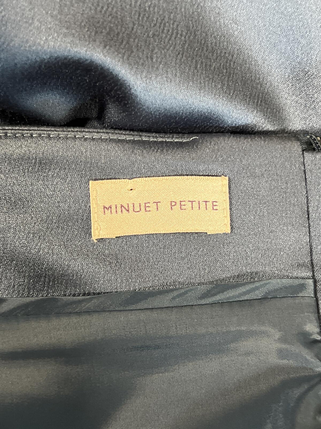Minuet Petite | Size 12 | Blue skirt